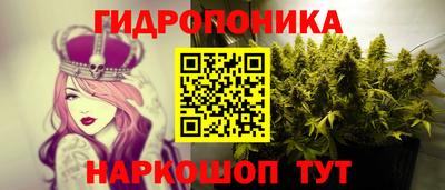 гидра Рыбинск