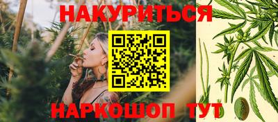 гидра Рыбинск