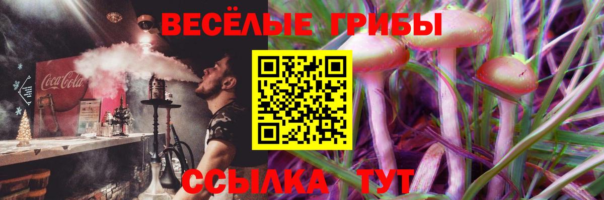 Нягань  Галлюциногенные грибы прущие грибы  Вход с VPN 